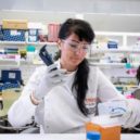 Dollar Handle Image Research