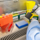 A person conducts medical research in Queensland